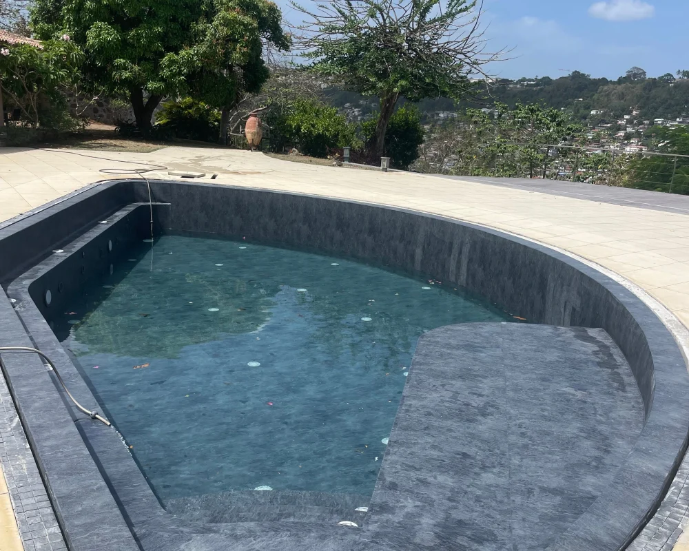 Spécialiste piscine pour professionnelle